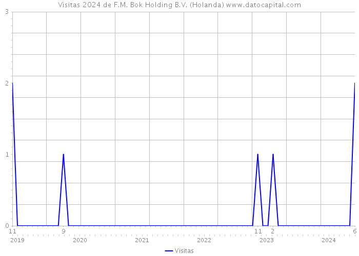 Visitas 2024 de F.M. Bok Holding B.V. (Holanda) 