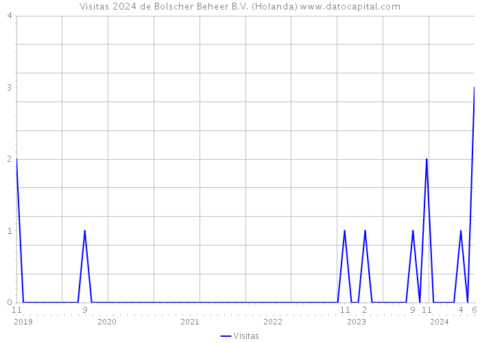 Visitas 2024 de Bolscher Beheer B.V. (Holanda) 