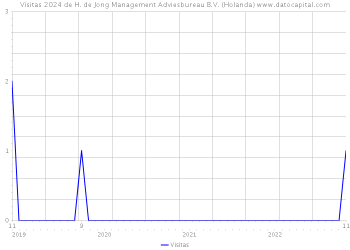 Visitas 2024 de H. de Jong Management Adviesbureau B.V. (Holanda) 