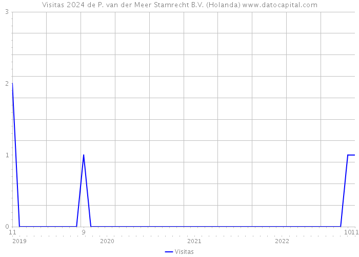 Visitas 2024 de P. van der Meer Stamrecht B.V. (Holanda) 