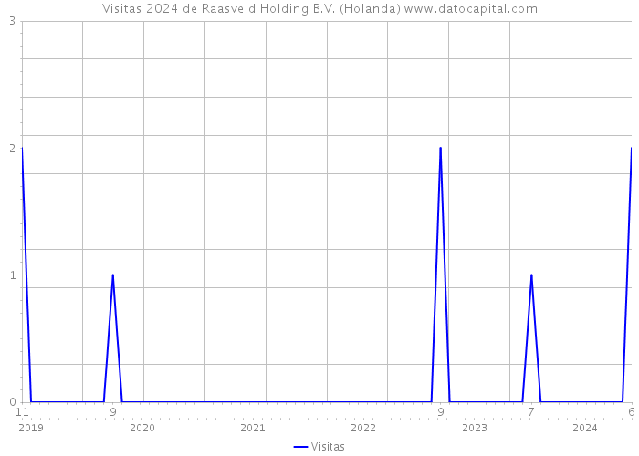 Visitas 2024 de Raasveld Holding B.V. (Holanda) 