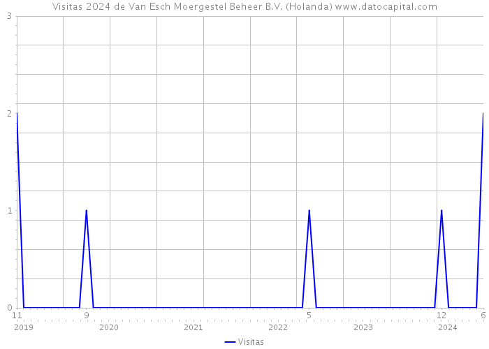 Visitas 2024 de Van Esch Moergestel Beheer B.V. (Holanda) 