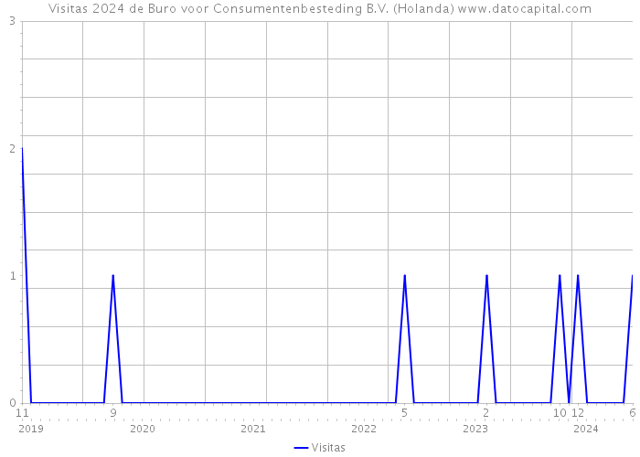 Visitas 2024 de Buro voor Consumentenbesteding B.V. (Holanda) 