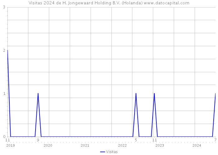 Visitas 2024 de H. Jongewaard Holding B.V. (Holanda) 