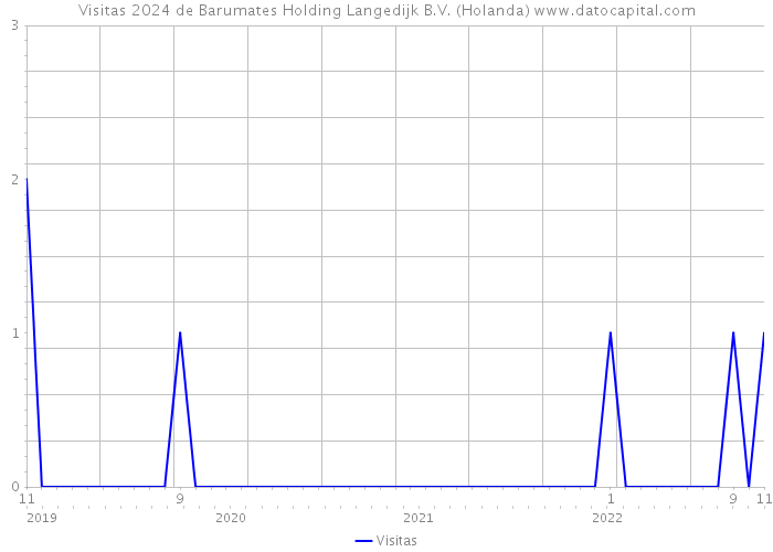 Visitas 2024 de Barumates Holding Langedijk B.V. (Holanda) 