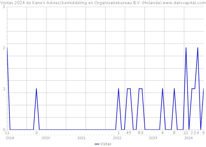 Visitas 2024 de Kane's Advies/bemiddeling en Organisatiebureau B.V. (Holanda) 