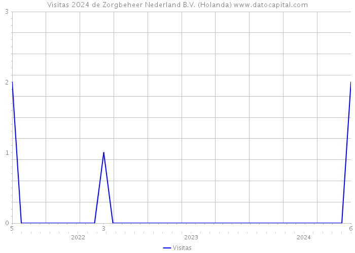 Visitas 2024 de Zorgbeheer Nederland B.V. (Holanda) 