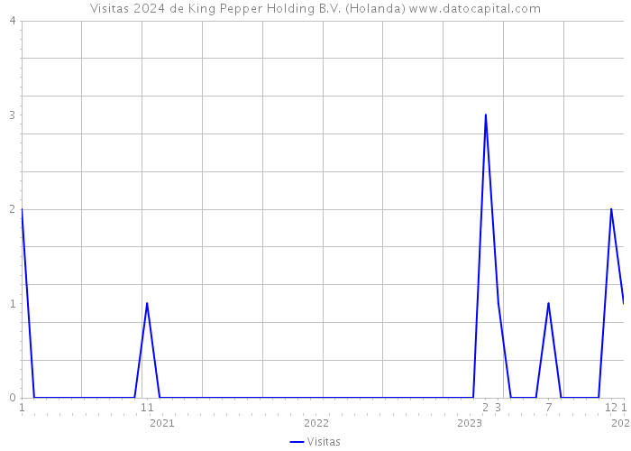 Visitas 2024 de King Pepper Holding B.V. (Holanda) 