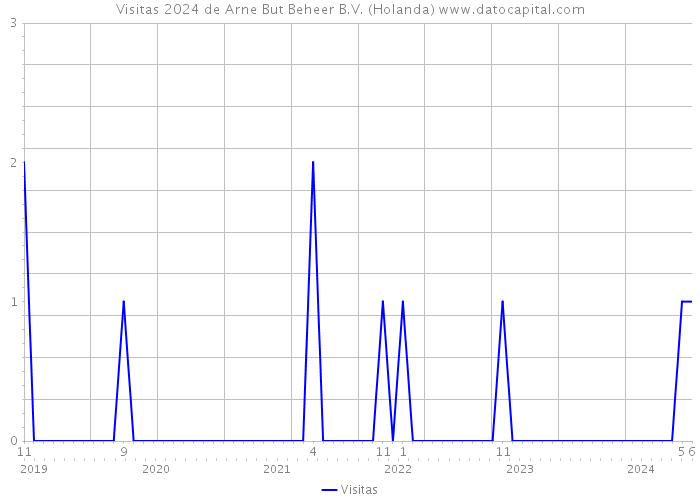 Visitas 2024 de Arne But Beheer B.V. (Holanda) 