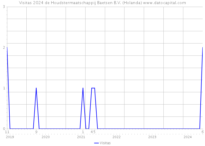 Visitas 2024 de Houdstermaatschappij Baetsen B.V. (Holanda) 