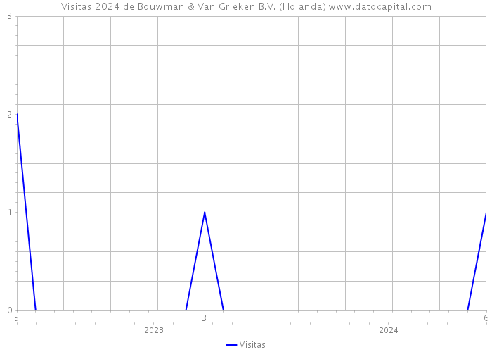 Visitas 2024 de Bouwman & Van Grieken B.V. (Holanda) 