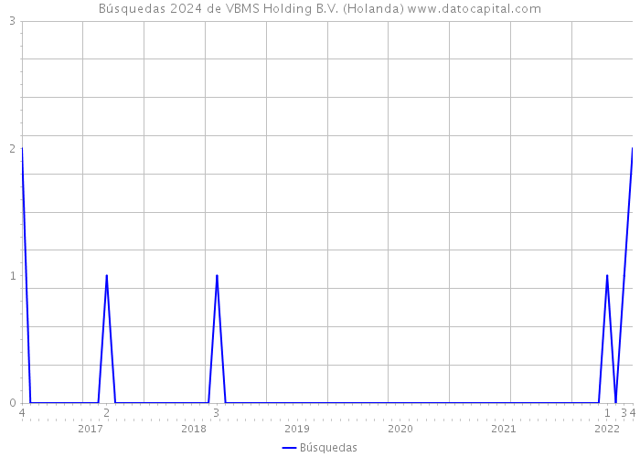 Búsquedas 2024 de VBMS Holding B.V. (Holanda) 