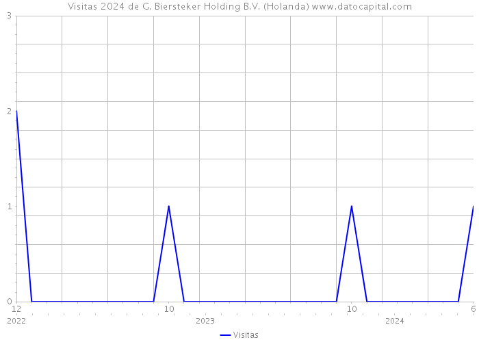 Visitas 2024 de G. Biersteker Holding B.V. (Holanda) 