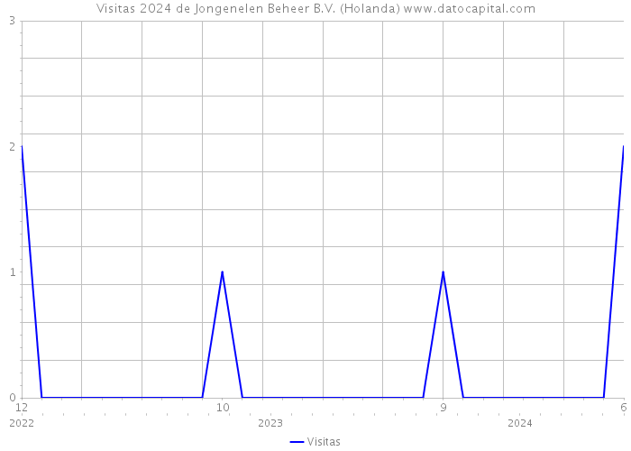 Visitas 2024 de Jongenelen Beheer B.V. (Holanda) 