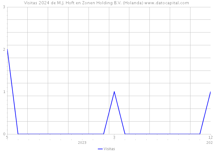 Visitas 2024 de M.J. Hoft en Zonen Holding B.V. (Holanda) 