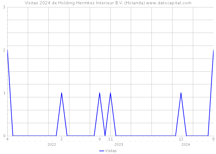 Visitas 2024 de Holding Hermkes Interieur B.V. (Holanda) 