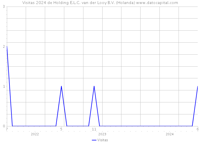 Visitas 2024 de Holding E.L.C. van der Looy B.V. (Holanda) 