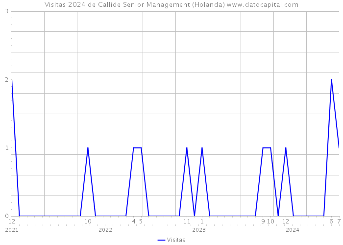 Visitas 2024 de Callide Senior Management (Holanda) 