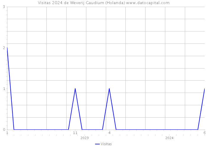 Visitas 2024 de Weverij Gaudium (Holanda) 