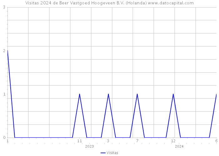 Visitas 2024 de Beer Vastgoed Hoogeveen B.V. (Holanda) 