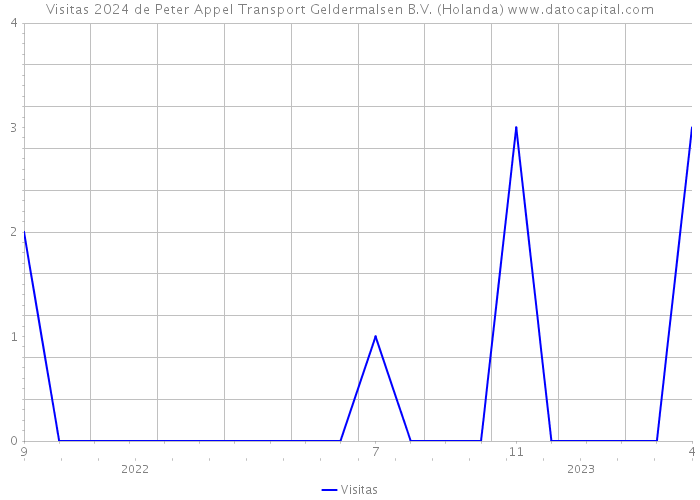Visitas 2024 de Peter Appel Transport Geldermalsen B.V. (Holanda) 