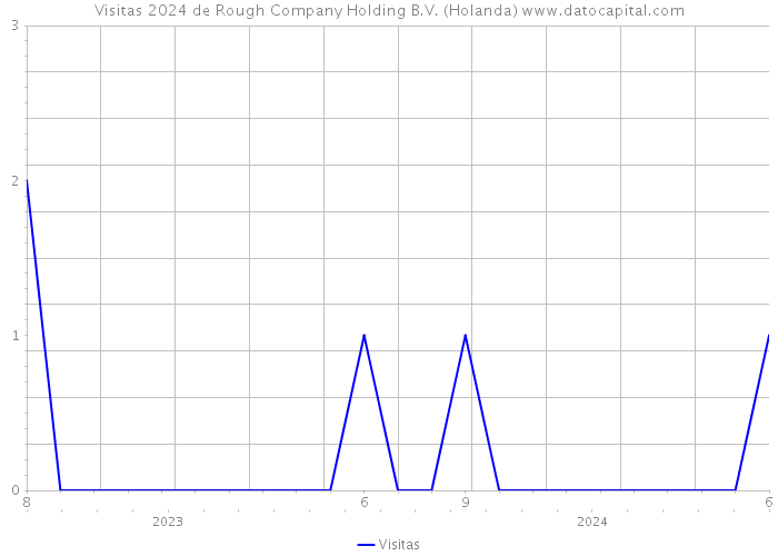 Visitas 2024 de Rough Company Holding B.V. (Holanda) 