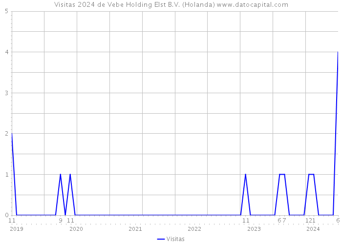 Visitas 2024 de Vebe Holding Elst B.V. (Holanda) 