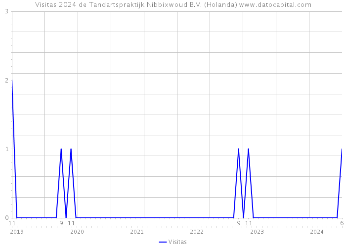 Visitas 2024 de Tandartspraktijk Nibbixwoud B.V. (Holanda) 