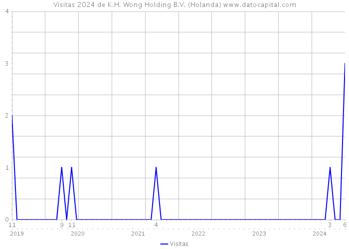 Visitas 2024 de K.H. Wong Holding B.V. (Holanda) 
