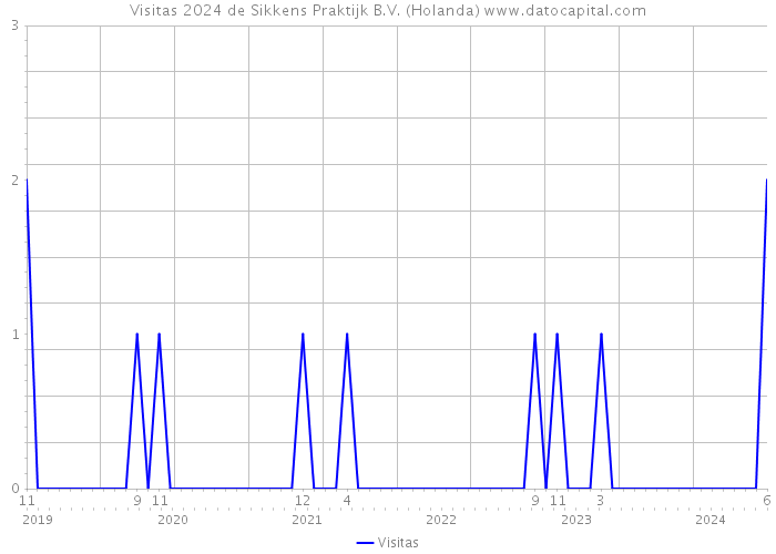 Visitas 2024 de Sikkens Praktijk B.V. (Holanda) 