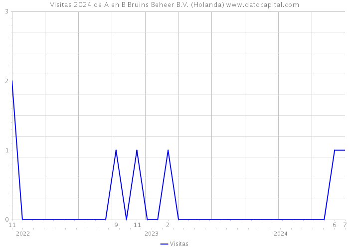 Visitas 2024 de A en B Bruins Beheer B.V. (Holanda) 