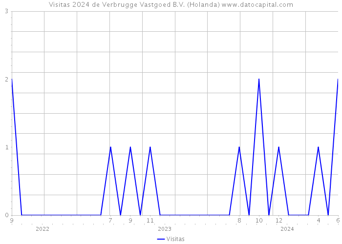 Visitas 2024 de Verbrugge Vastgoed B.V. (Holanda) 