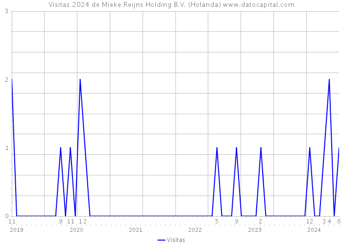 Visitas 2024 de Mieke Reijns Holding B.V. (Holanda) 