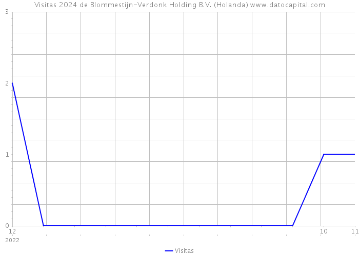 Visitas 2024 de Blommestijn-Verdonk Holding B.V. (Holanda) 