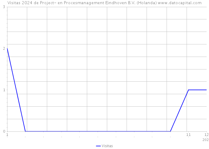 Visitas 2024 de Project- en Procesmanagement Eindhoven B.V. (Holanda) 