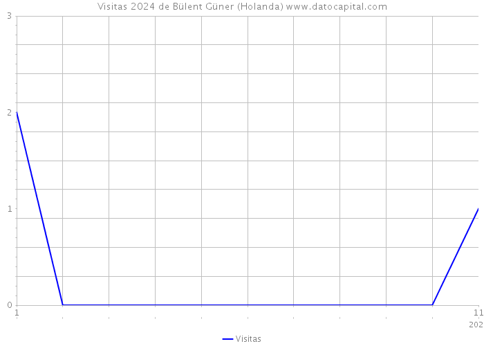 Visitas 2024 de Bülent Güner (Holanda) 