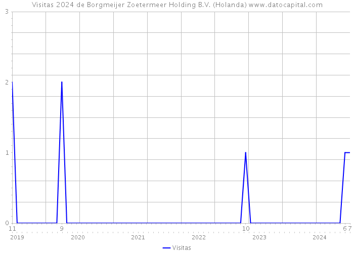 Visitas 2024 de Borgmeijer Zoetermeer Holding B.V. (Holanda) 