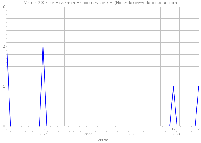 Visitas 2024 de Haverman Helicopterview B.V. (Holanda) 