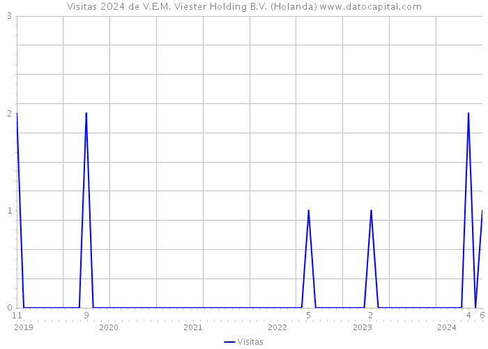 Visitas 2024 de V.E.M. Viester Holding B.V. (Holanda) 