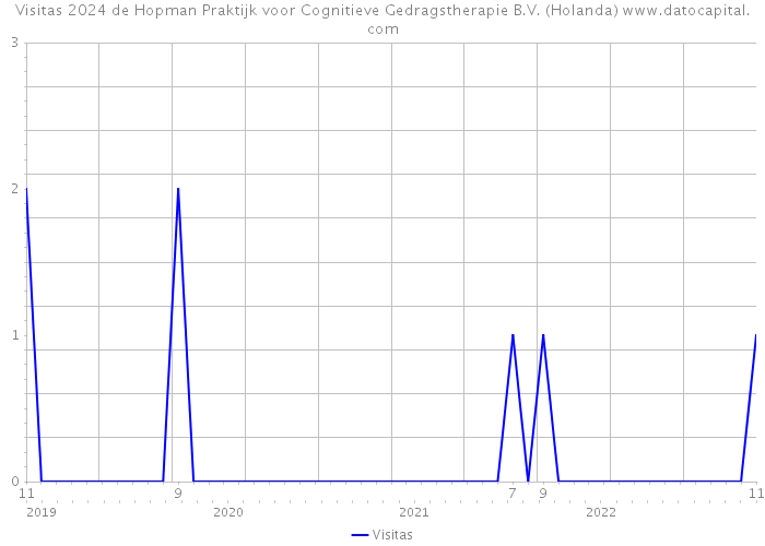 Visitas 2024 de Hopman Praktijk voor Cognitieve Gedragstherapie B.V. (Holanda) 
