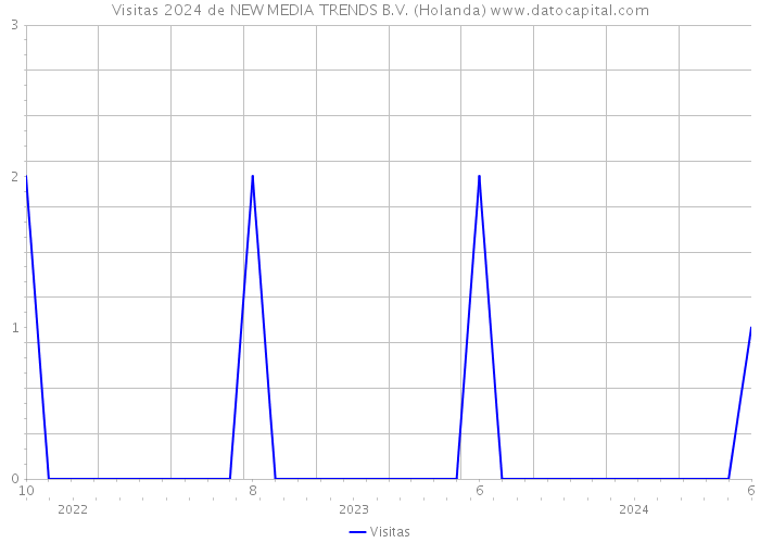 Visitas 2024 de NEW MEDIA TRENDS B.V. (Holanda) 