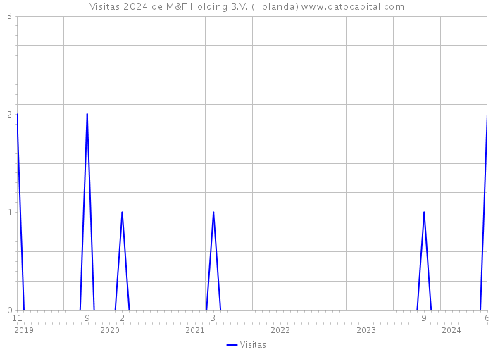 Visitas 2024 de M&F Holding B.V. (Holanda) 