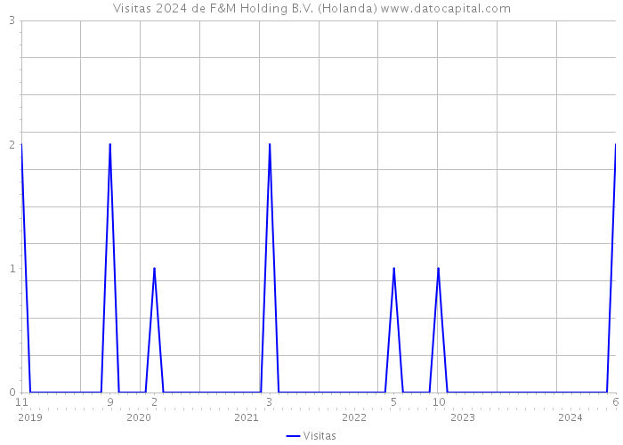 Visitas 2024 de F&M Holding B.V. (Holanda) 