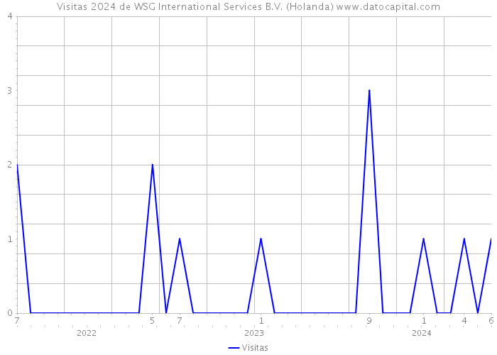 Visitas 2024 de WSG International Services B.V. (Holanda) 