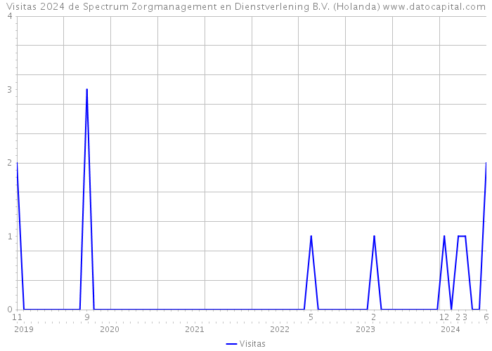 Visitas 2024 de Spectrum Zorgmanagement en Dienstverlening B.V. (Holanda) 