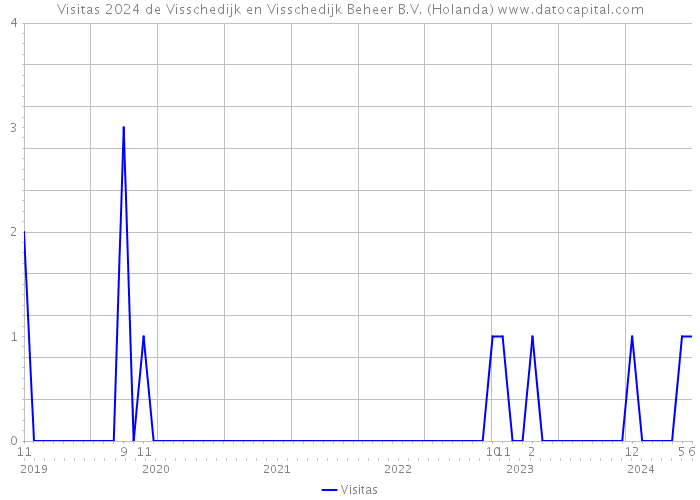 Visitas 2024 de Visschedijk en Visschedijk Beheer B.V. (Holanda) 