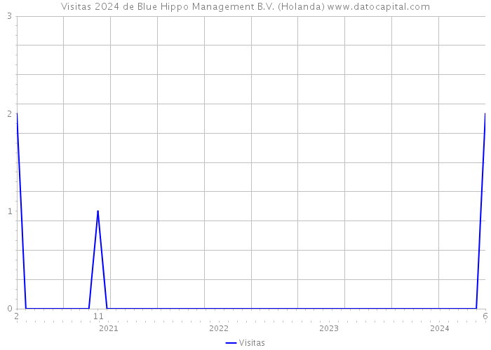 Visitas 2024 de Blue Hippo Management B.V. (Holanda) 