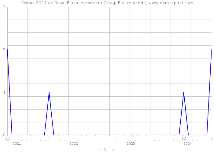 Visitas 2024 de Royal Flush Investment Group B.V. (Holanda) 