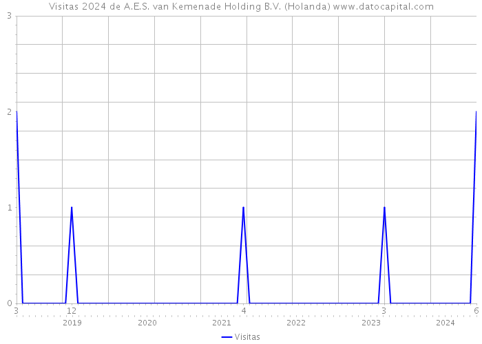 Visitas 2024 de A.E.S. van Kemenade Holding B.V. (Holanda) 