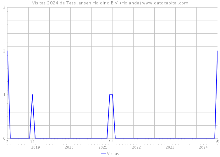 Visitas 2024 de Tess Jansen Holding B.V. (Holanda) 